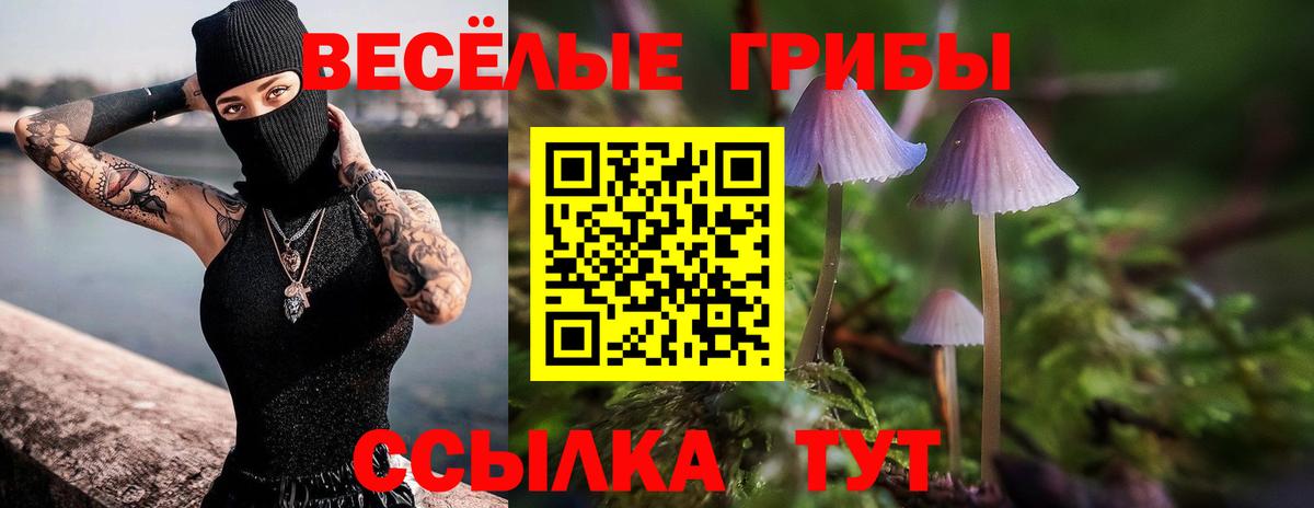 Галлюциногенные грибы мицелий  Вход с VPN  Смоленск 